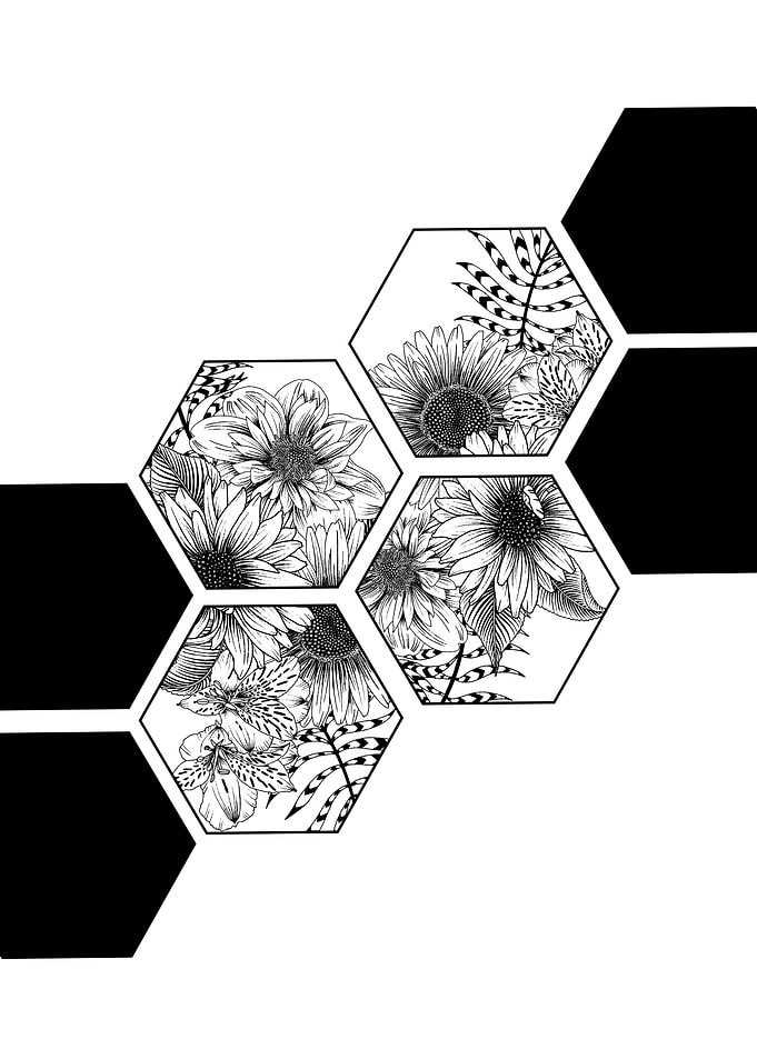 Bouquet of hexagons
