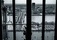Cologne