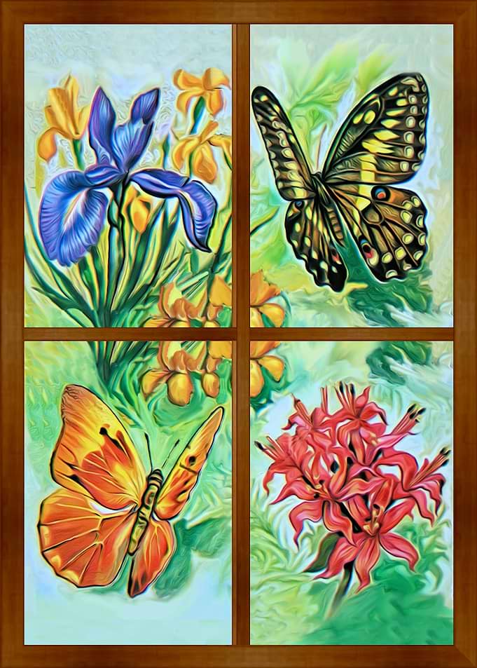 Window to world of nature6