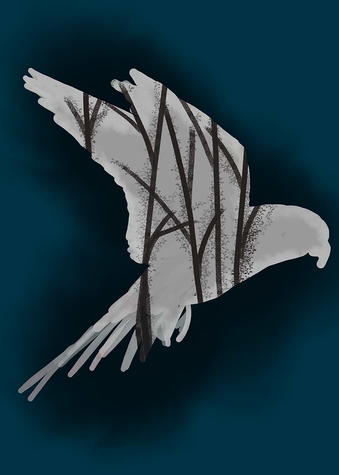 bird forest