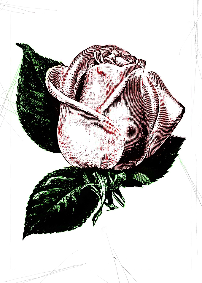 only you