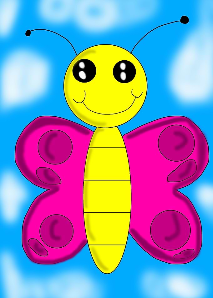 Butterfly