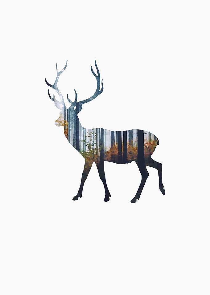 Deer silhouette