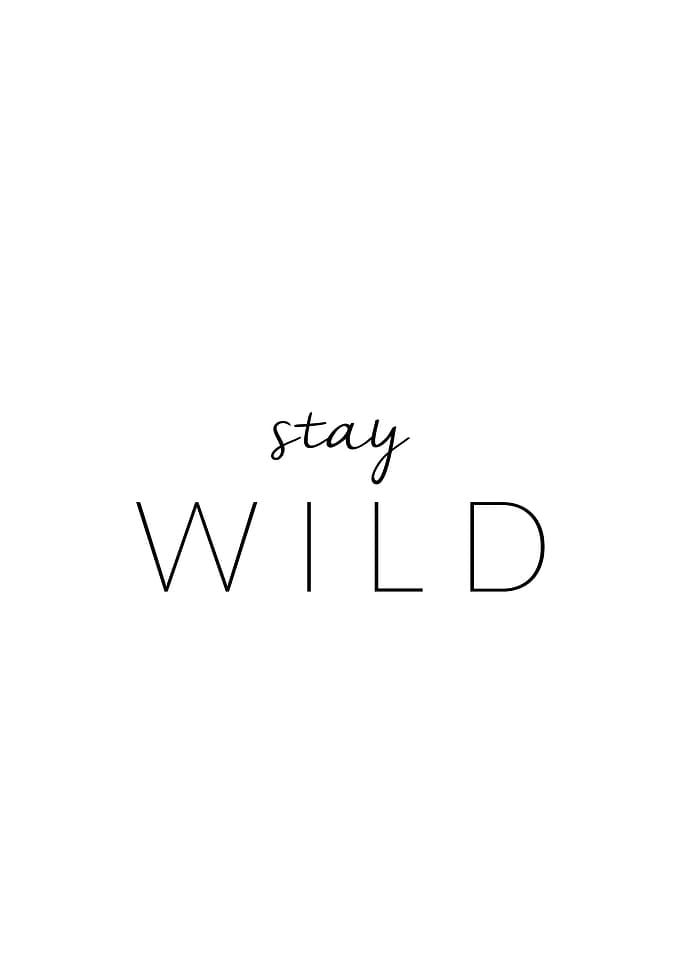 Stay wild