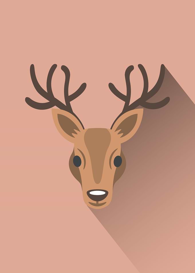 Deer Head