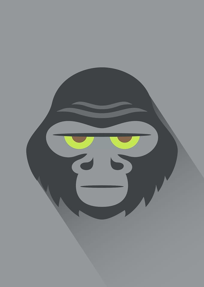 Gorilla Head