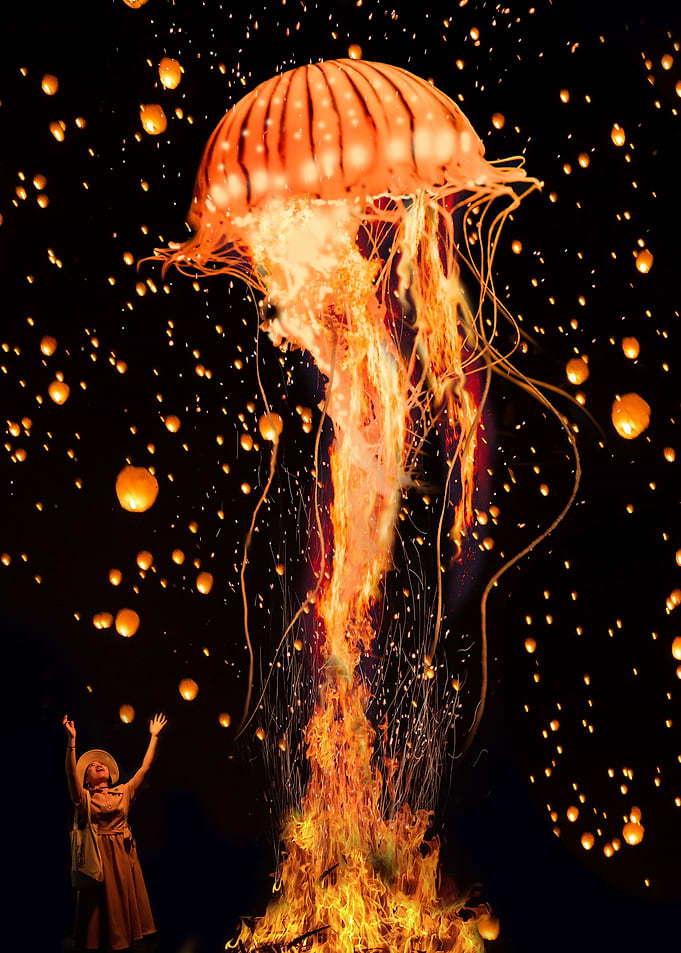Jellyfish Rising