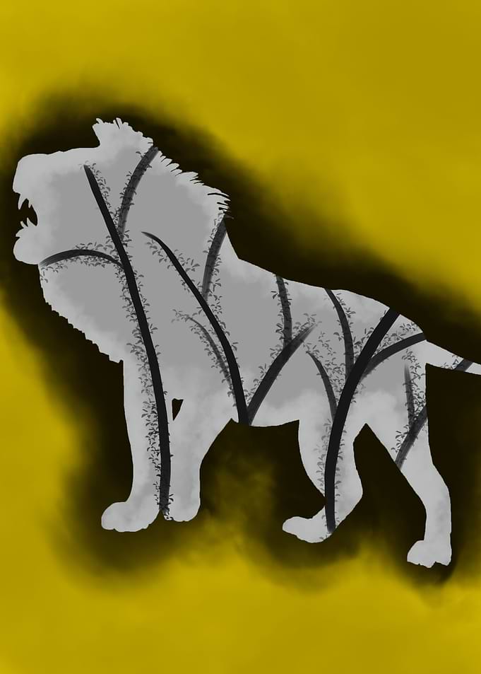 lion forest