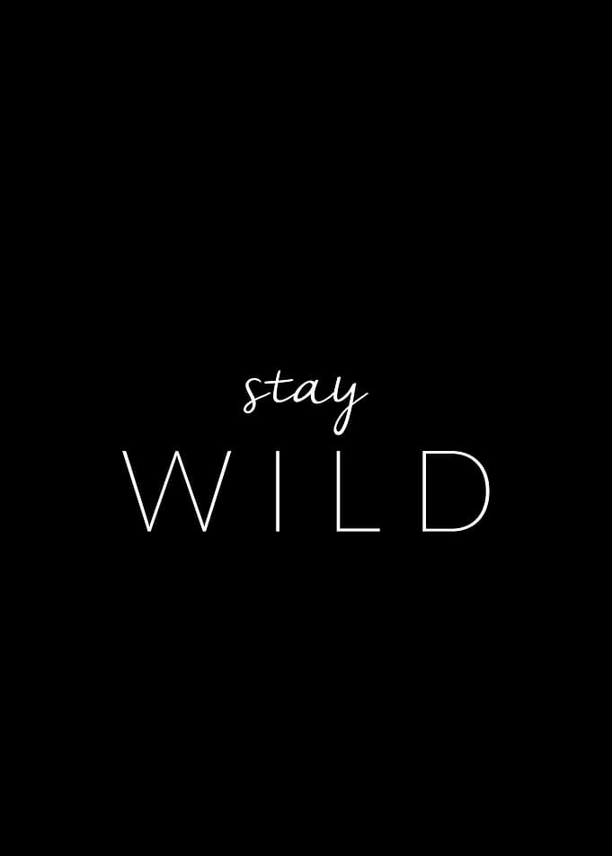 Stay wild