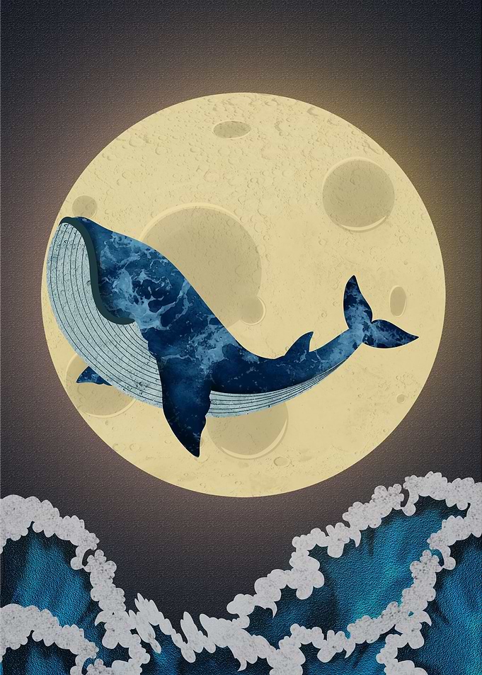 Fly to the Moon