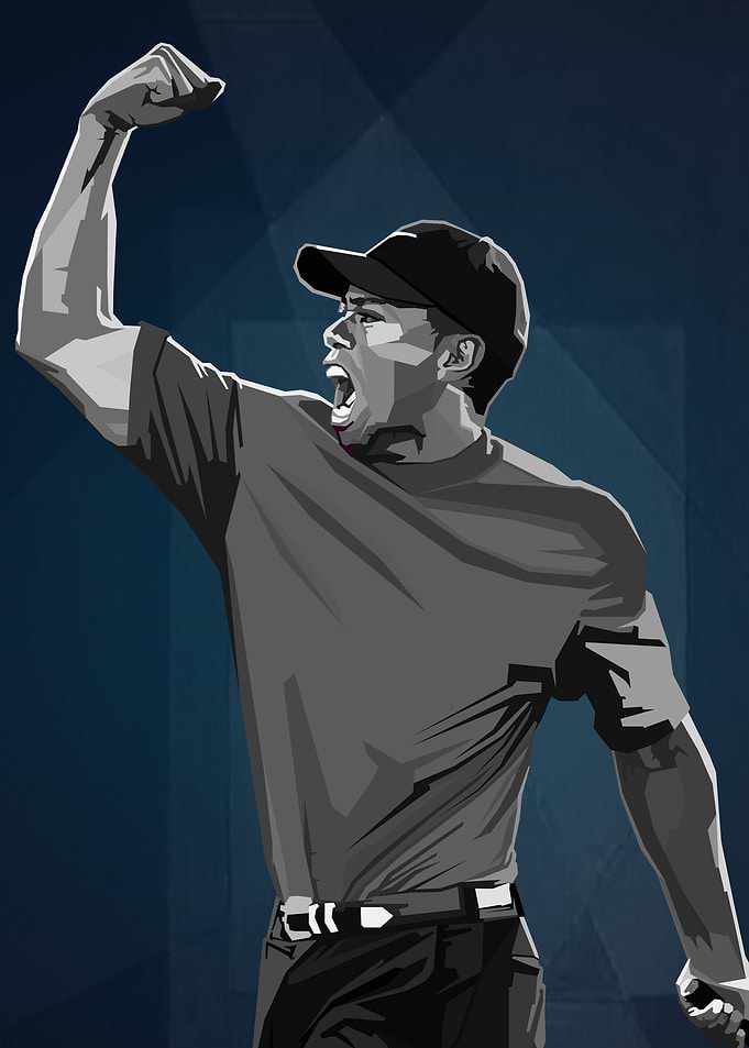 Tiger Woods Golf