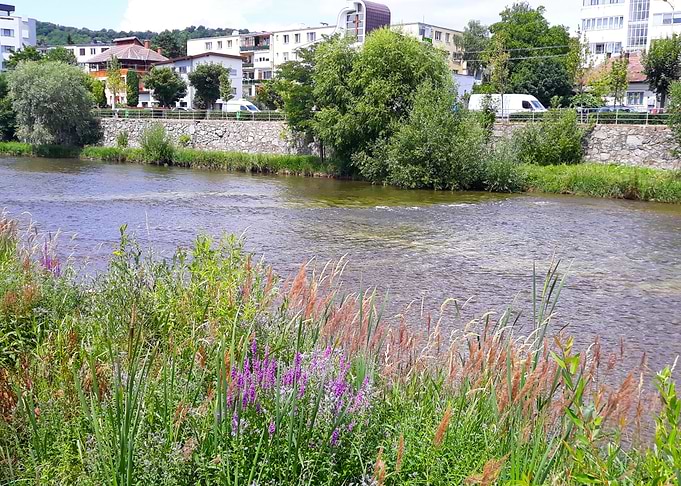 Vibrant river