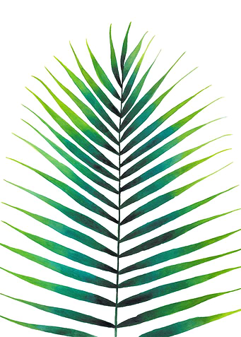 Palm Leaf Watercolor