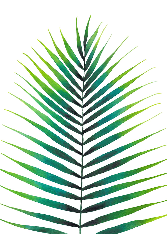 Palm Leaf Watercolor