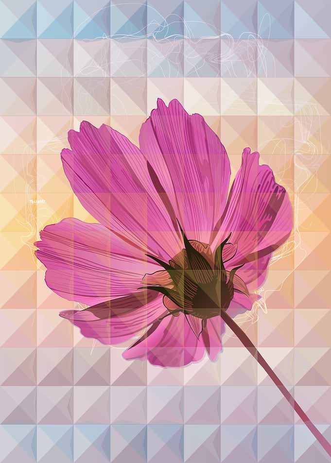 Flavour of Flower