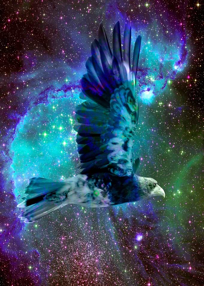 Catch A Falling Star