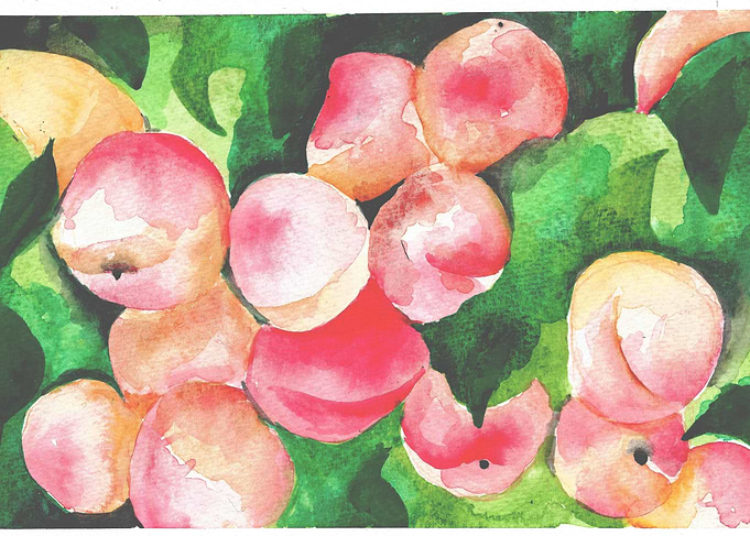 Peaches