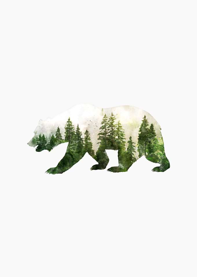 Bear silhouette