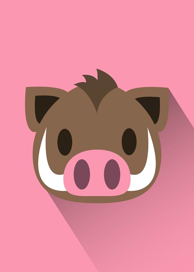 Wild Boar Head