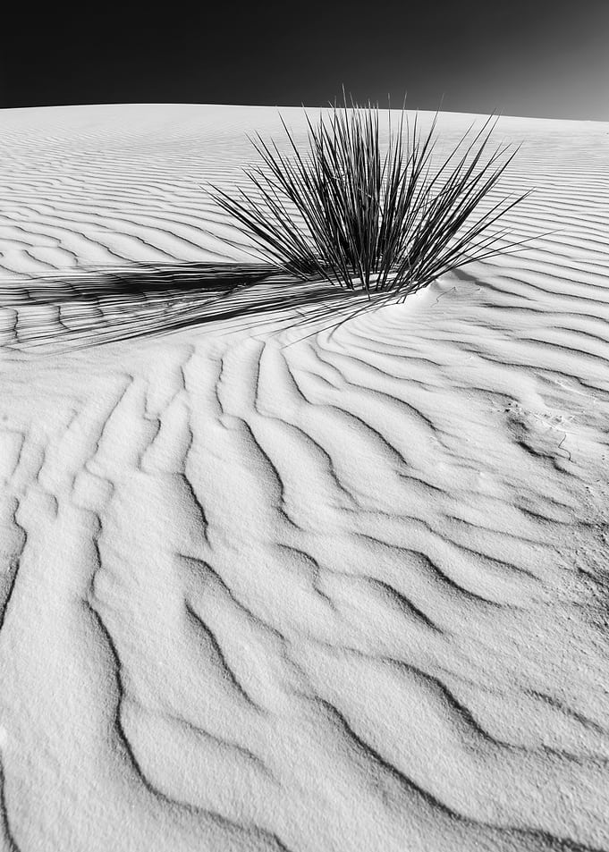 Wave pattern of dunes