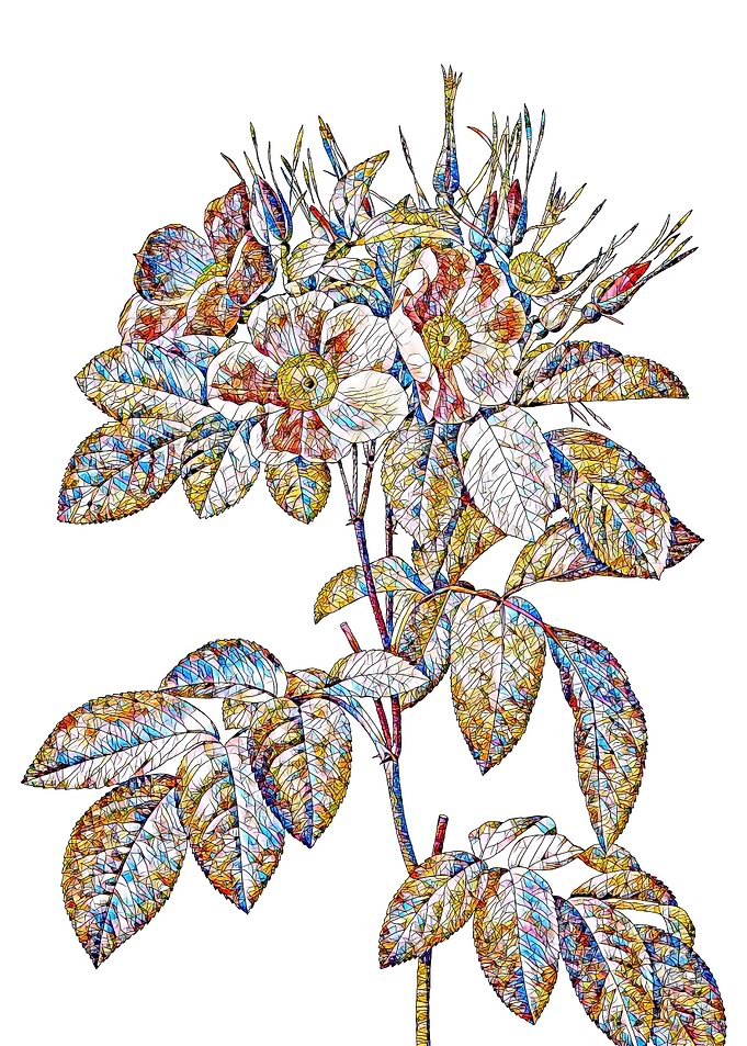 Stained Glass Rose Flower