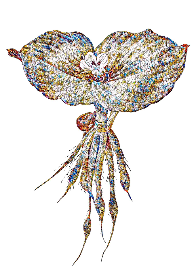 Rainbow Mosaic Flower