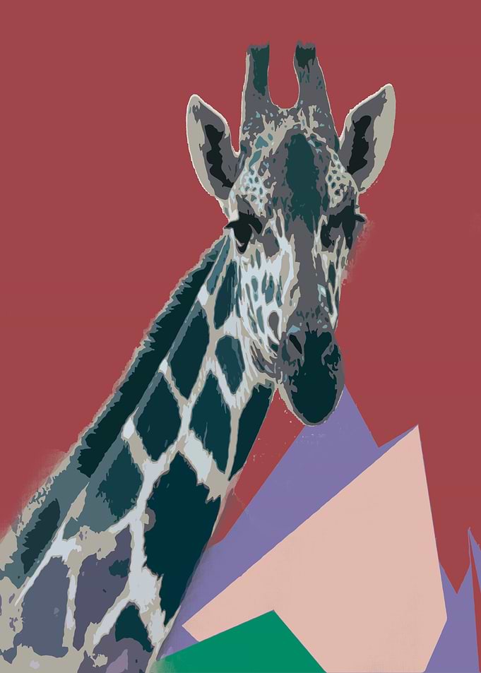 Giraffe Red Light
