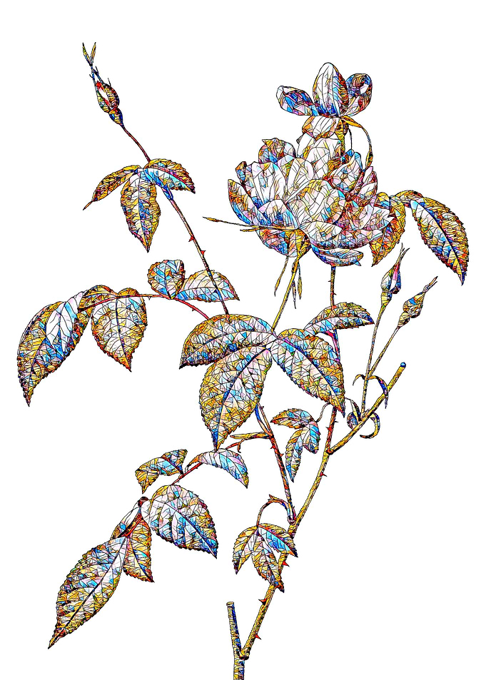 Stained Glass Rose Flower