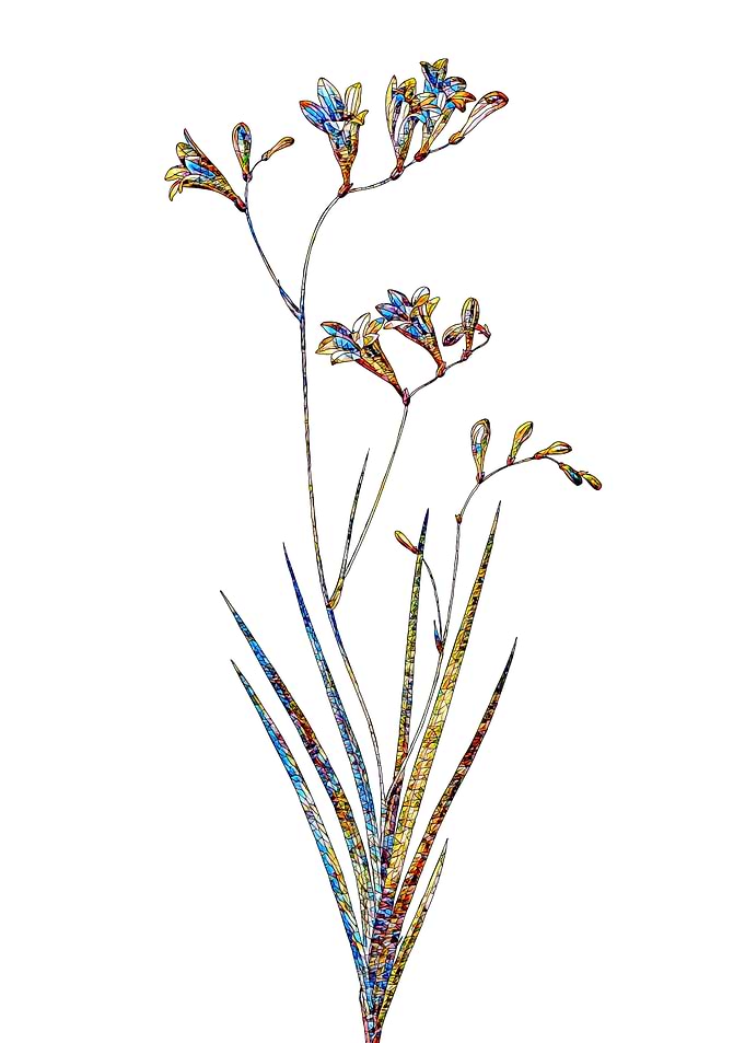 Stained Glass Botanical