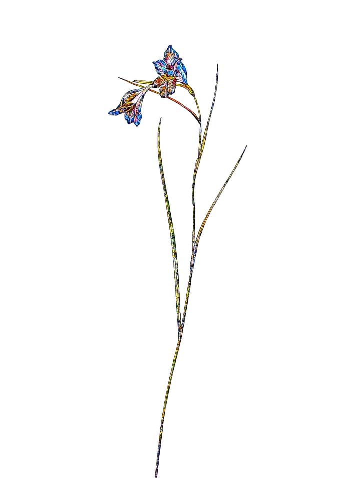 Stained Glass Botanical