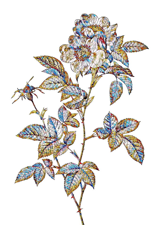 Stained Glass Rose Flower