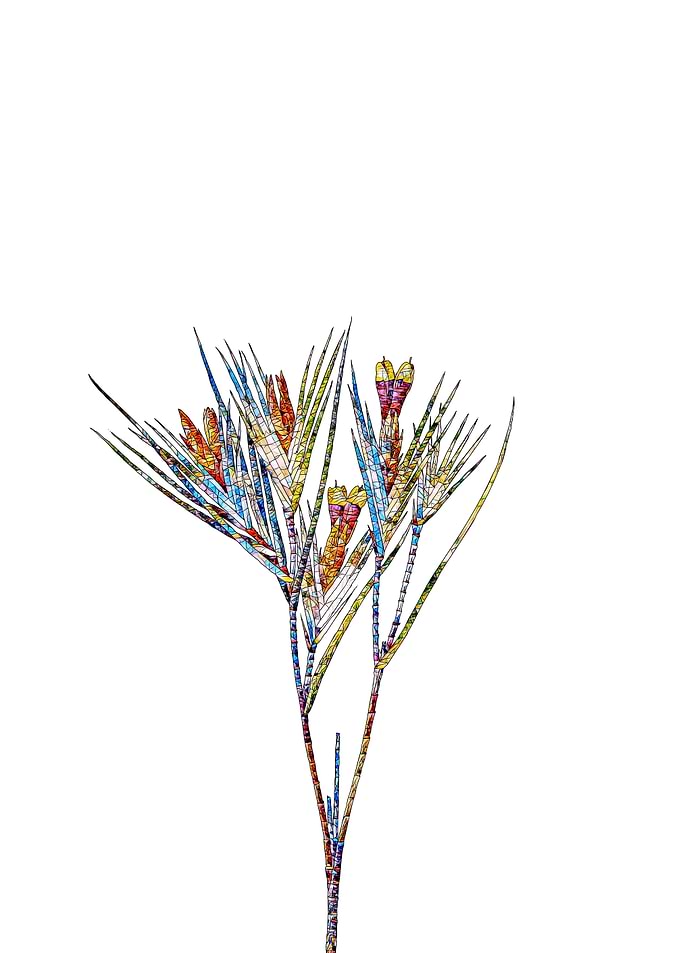 Prismatic Mosaic Floral