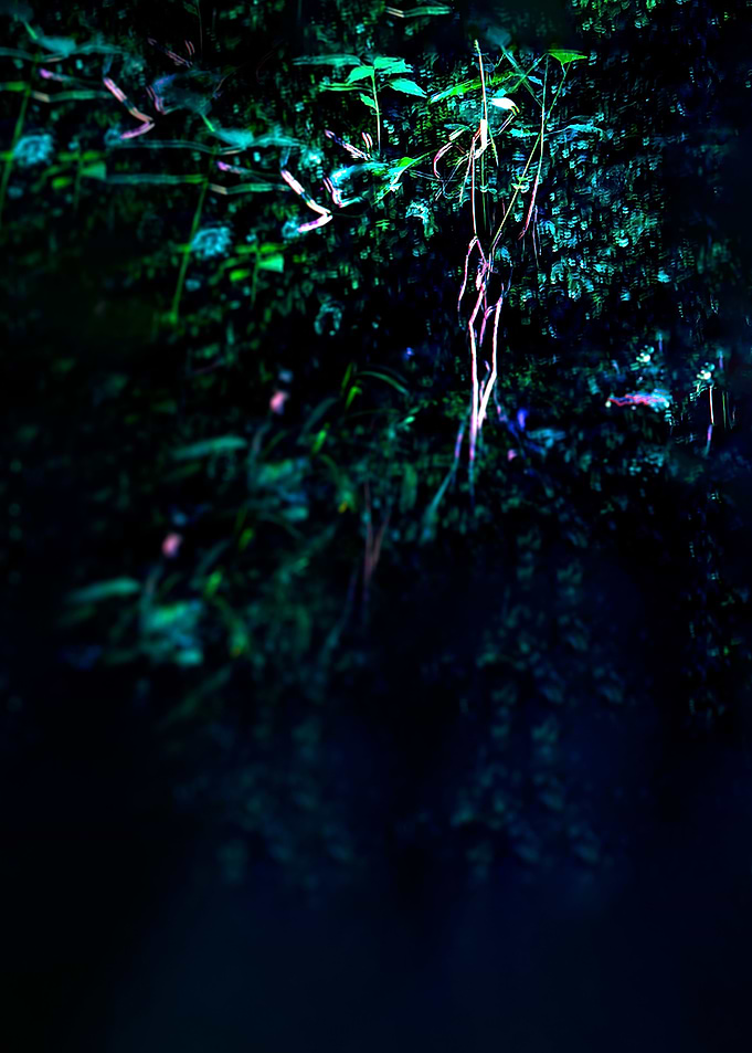 Image E
