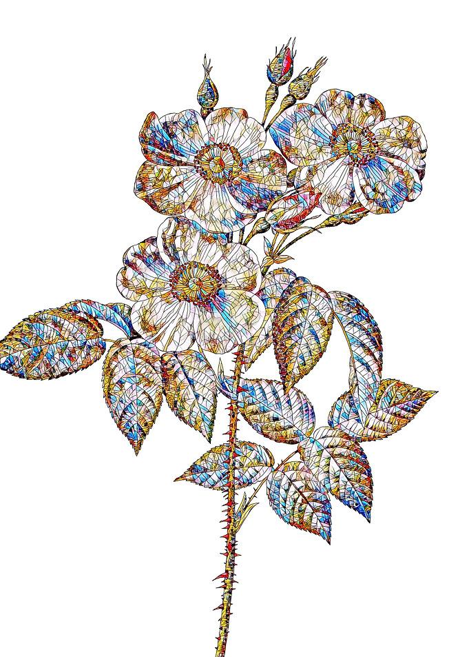 Rainbow Mosaic Flower