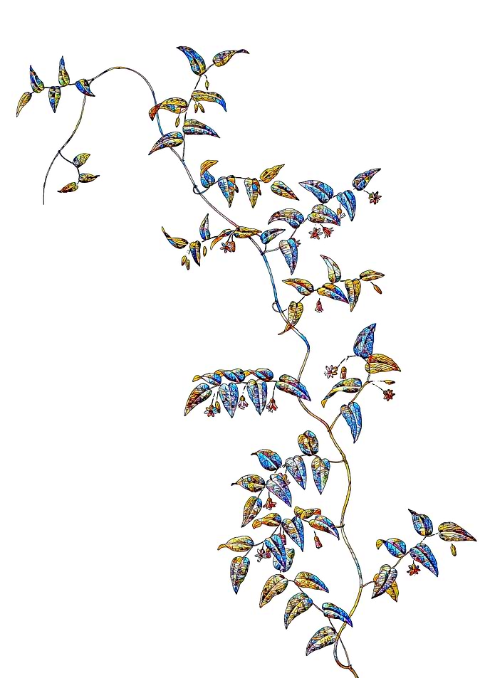 Stained Glass Botanical