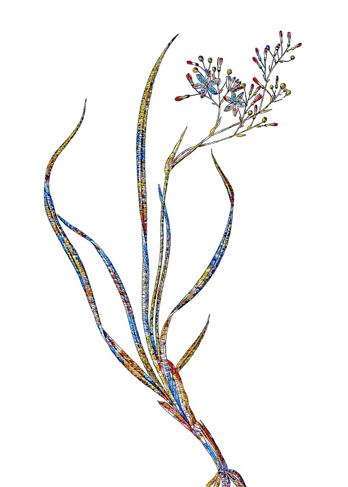 Rainbow Mosaic Flower