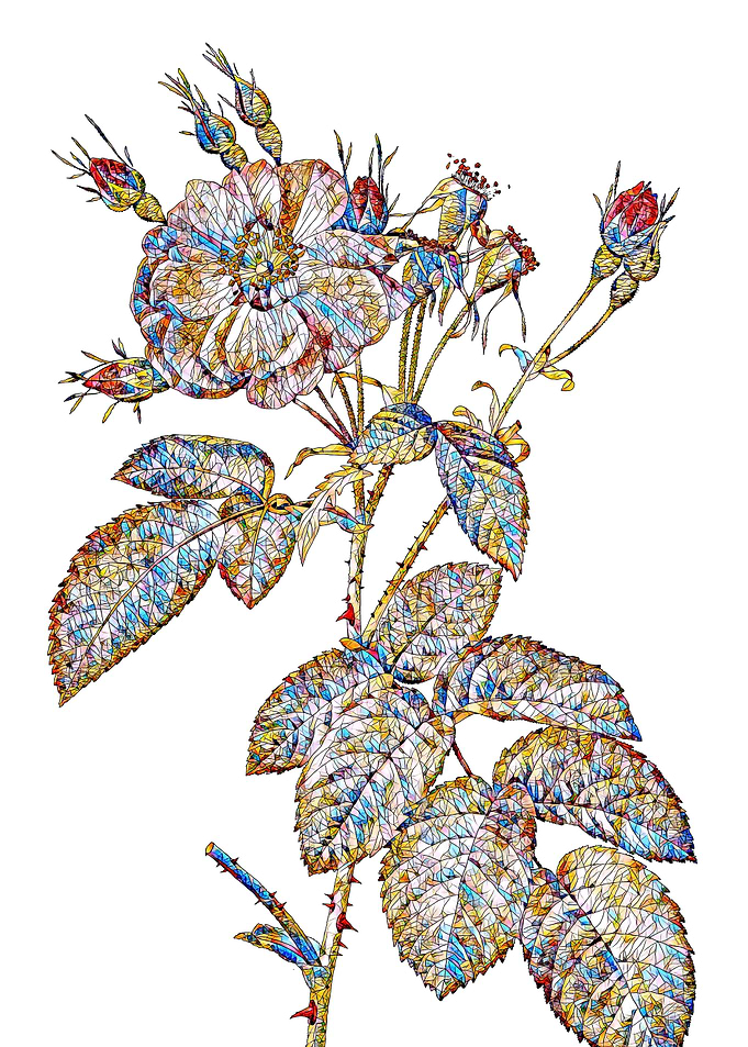 Stained Glass Rose Flower