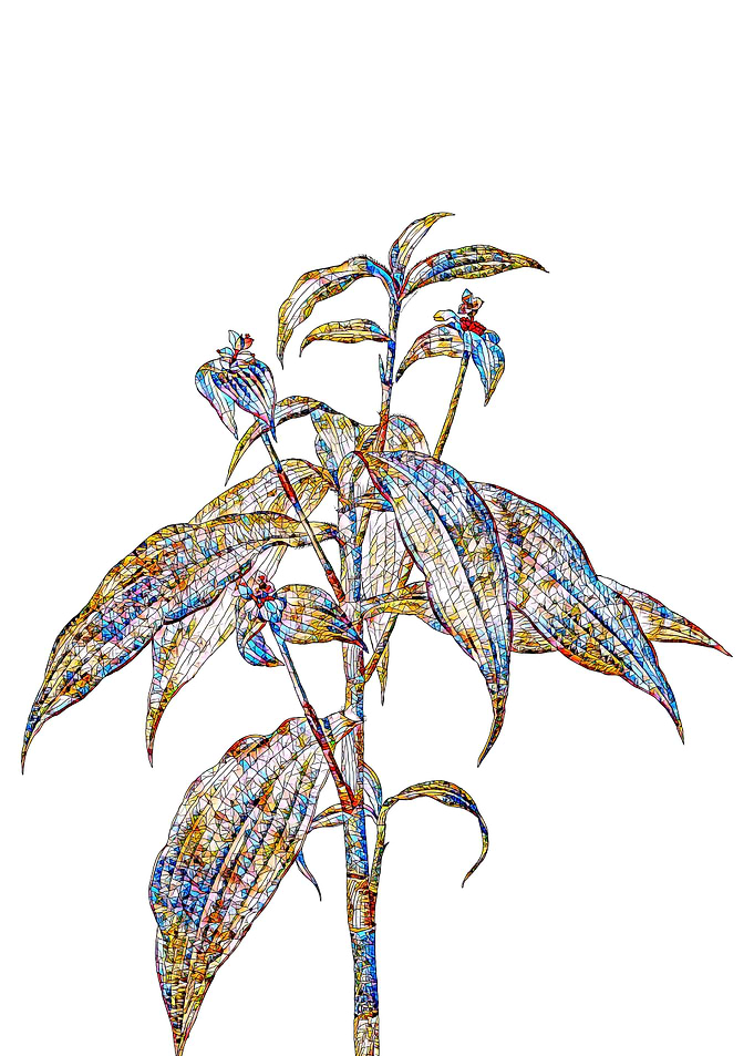 Stained Glass Botanical