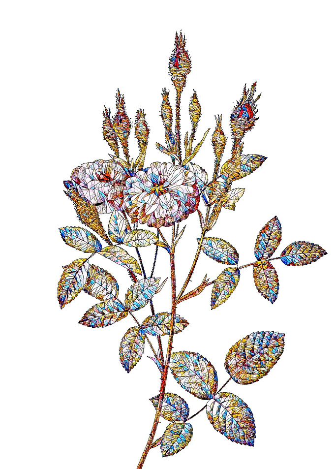 Stained Glass Rose Flower