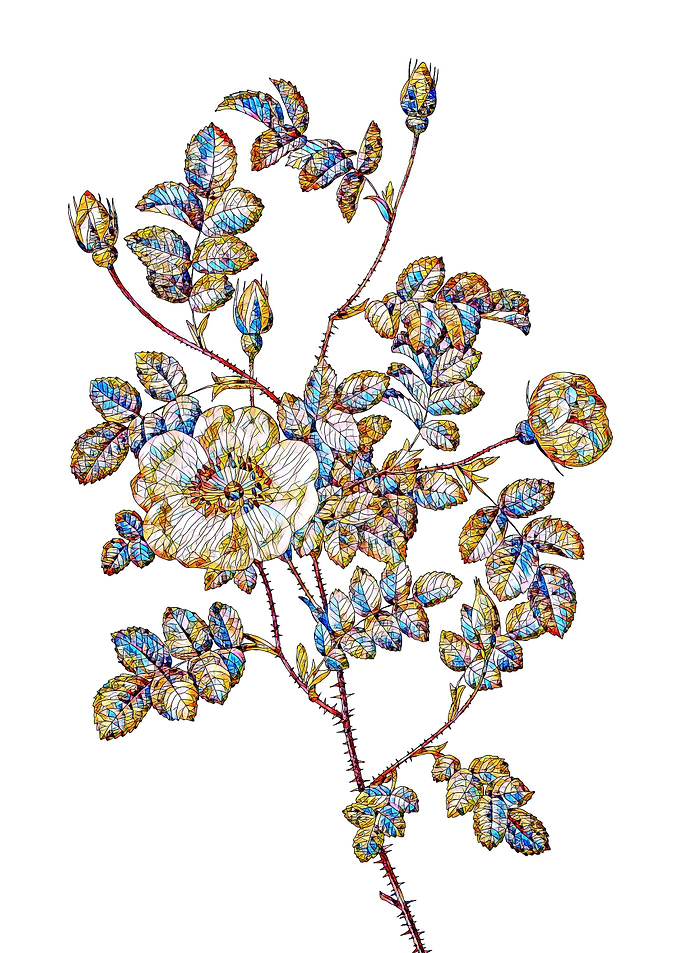 Stained Glass Rose Flower