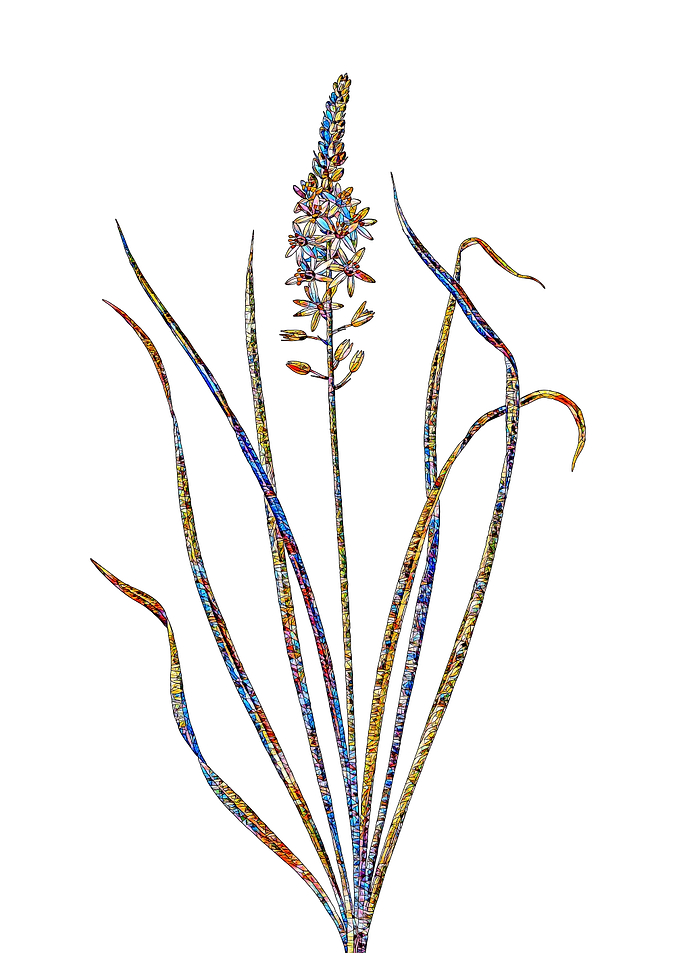 Prismatic Mosaic Floral