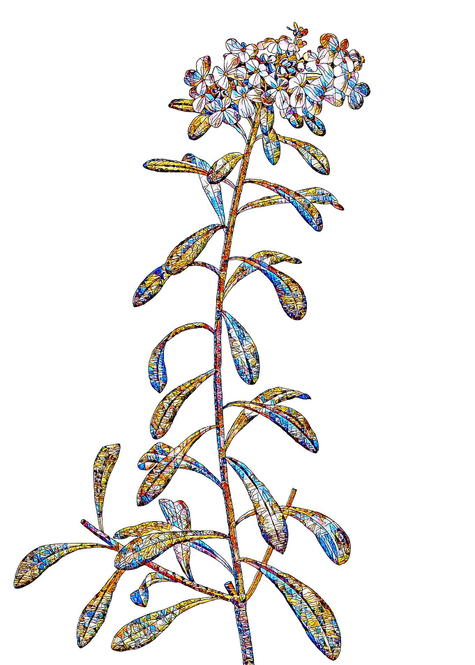 Rainbow Mosaic Flower