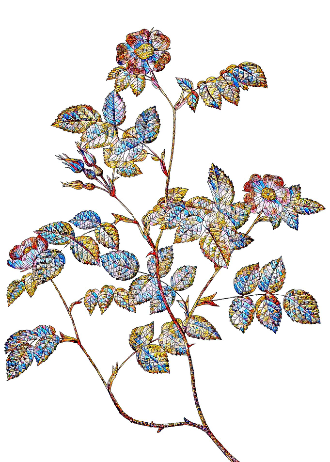 Stained Glass Rose Flower
