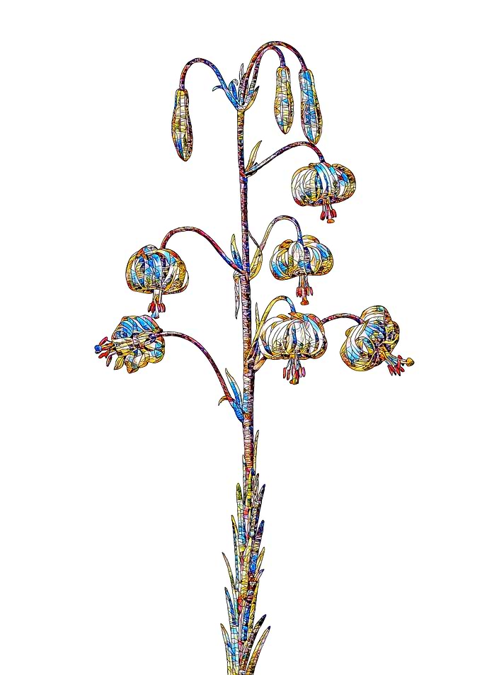 Stained Glass Botanical