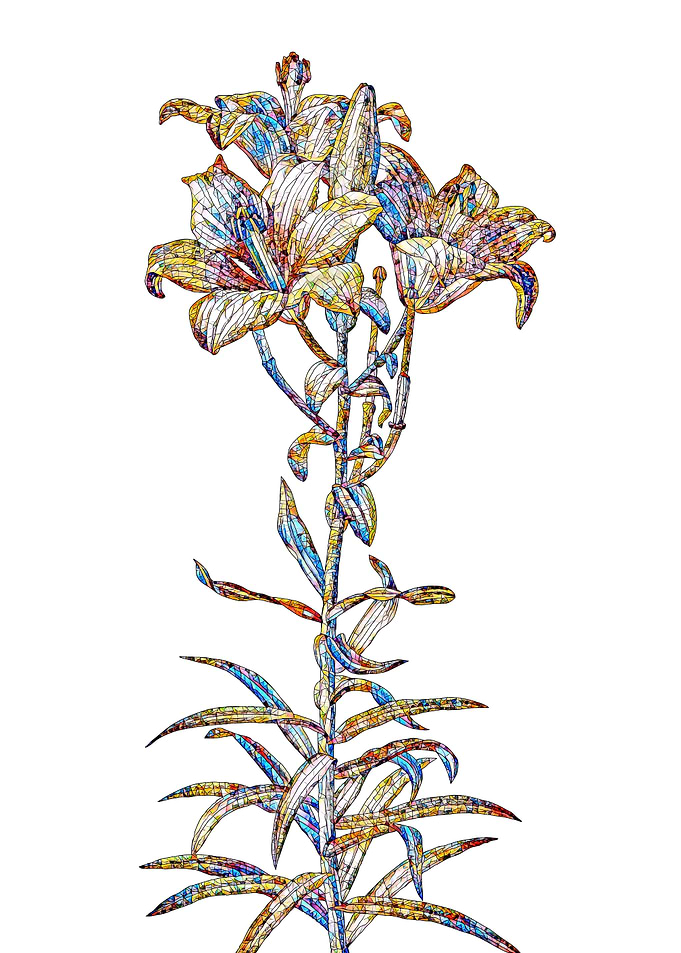 Stained Glass Lily Flower