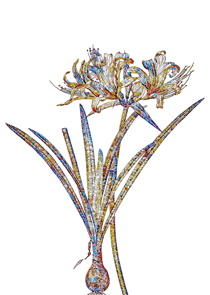 Stained Glass Lily Flower