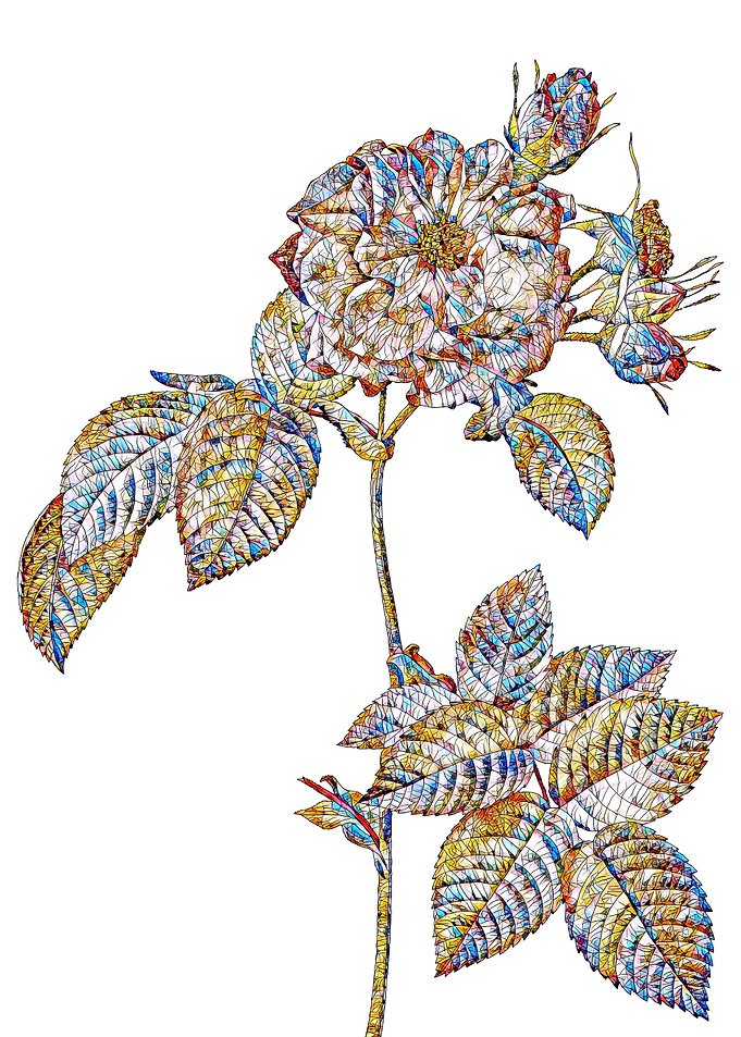 Stained Glass Rose Flower