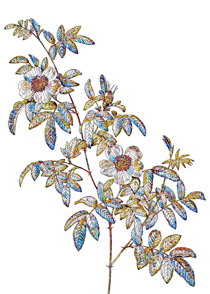 Stained Glass Rose Flower