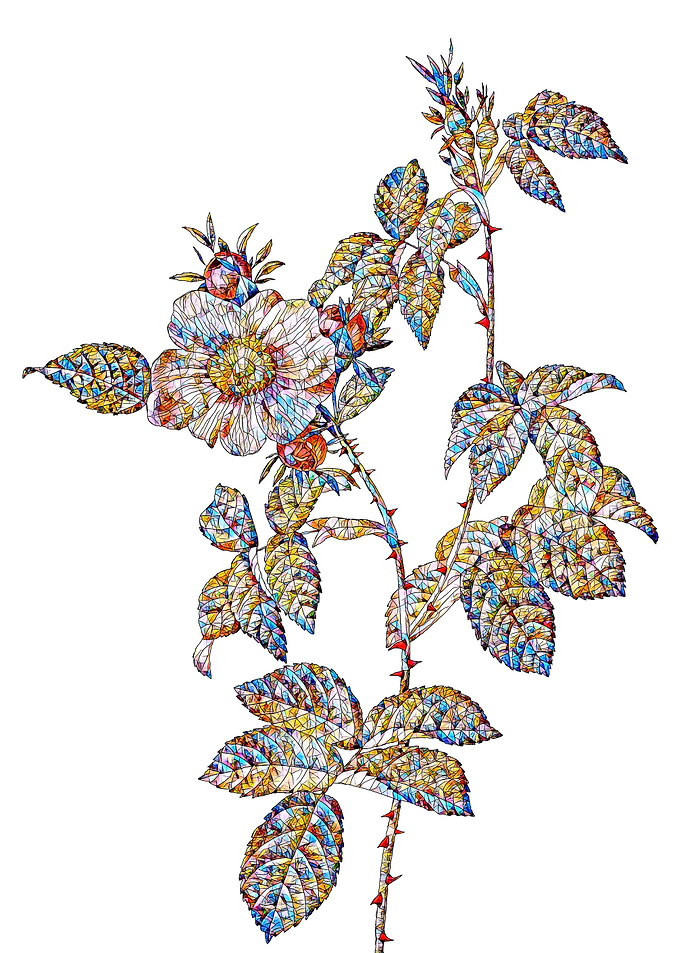 Stained Glass Rose Flower