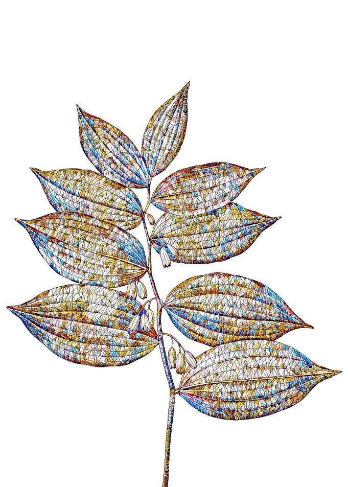 Stained Glass Botanical